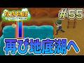 【初見】新しい牧場でも効率求めて開拓しまくってみる！#55【牧場物語 オリーブタウンと希望の大地】【ぽんすけ】