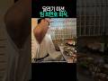 회식 메뉴가 돼지고기였던 건에 대하여 