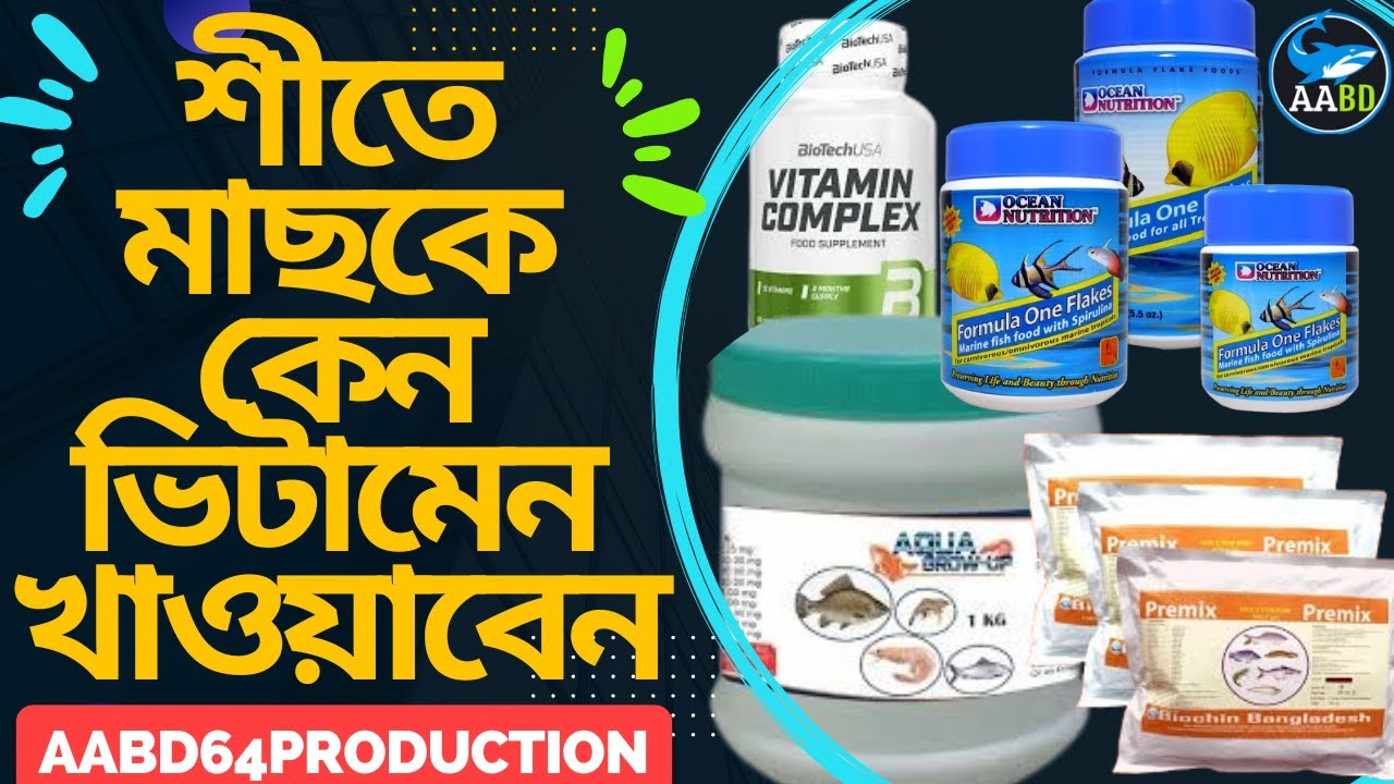 শীতে চাষের মাছকে কেন ভিটামিন খাওয়াবেন এবং কিভাবে খাওয়াবেন (How & Why We Fed the Fish Vitamin)