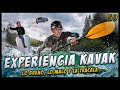 La pensin 59  experiencia kavak  lo bueno lo malo y la tranza