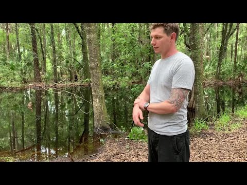 Wesley Chapel man fights off gator to save dog