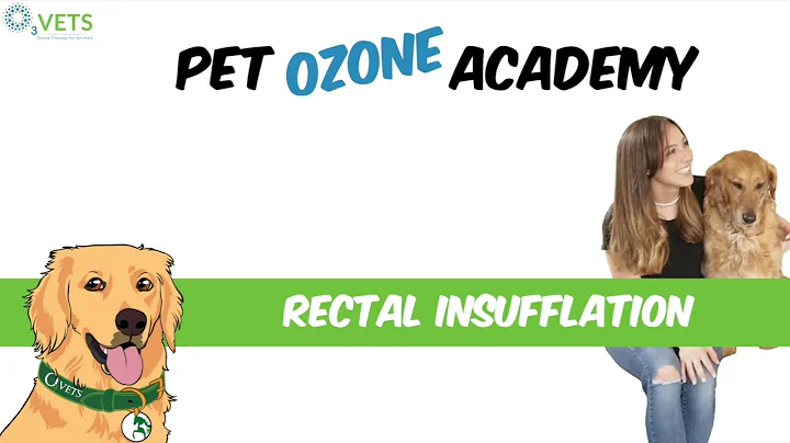 How to Administer Rectal Ozone Therapy To Your Pet At Home