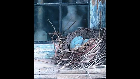 'Nestled' Work in Progress   by  Pastel Artist Jul...