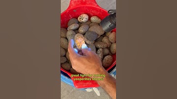 Find Yooperlite Stones with the Convoy C8 UV light 😎