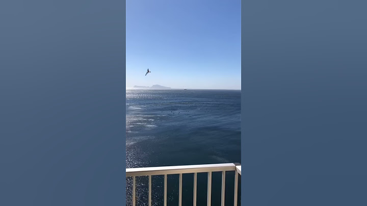 Napoli-Parma, Roberto Inglese si gode il panorama di Napoli