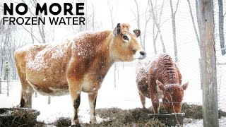 The Amazing ELECTRIC FREE FROST PROOF Automatic Livestock Waterer!