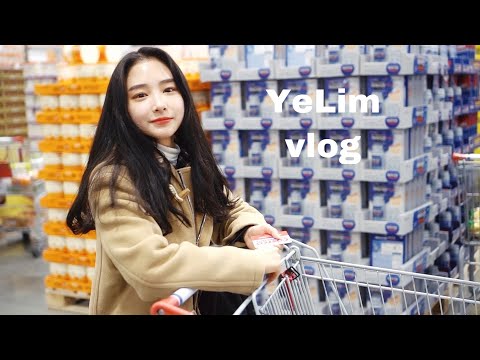 ENG) YeLim vlog 코스트코 브이로그• 경산여행 • 영천여행 (#경산맛집 #영천맛집 #코스트코 #짜장밥)