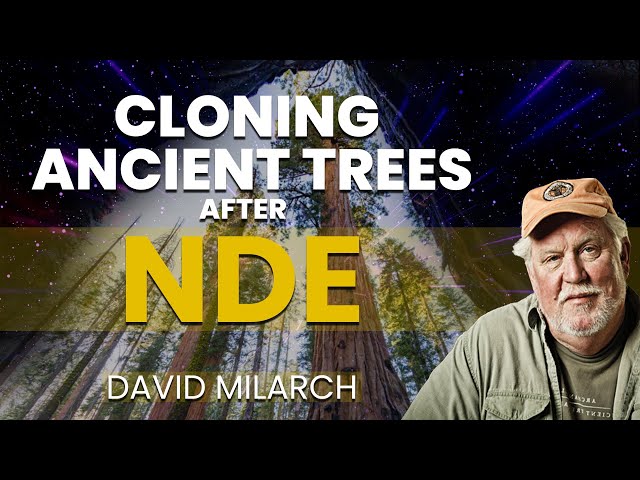 NDE Heeding Angels' Mission to Save Forests | David Milarch NDE Story 500,000+ trees planted so far!