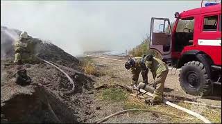 В Кропоткине загорелось поле с шелухой подсолнечника на площади 800 кв. м.