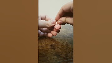 Transformers ASMR: Botbots Lightweight (series 5) #shorts