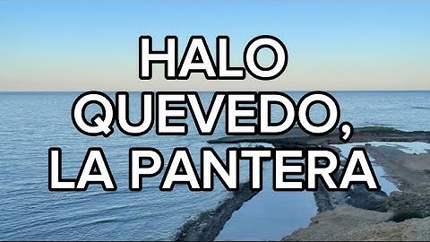 Quevedo, La Pantera - Halo (LETRA)