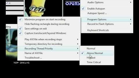 Camstudio Tutorial and Guide for Sync and fps
