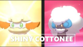 SHINY COTTONEE 189 EGGS | Pokemon Sword