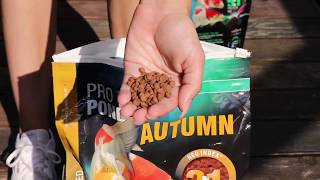 Die Richtige Koi- Und Teichfischernährung Im Herbst - Jbl Propond Autumn