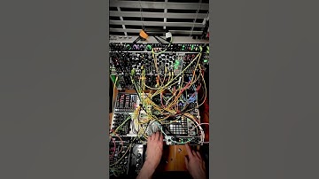 Melodic Techno mini jam, Rings into Mojave #eurorack #synth #electronicmusic #techno #modularsynth