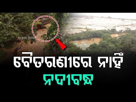No Embankment, No Relief: 40 Villages Submerged as Baitarani River Floods Jajpur-Keonjhar Border