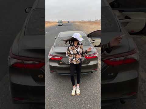 خليجي طرب 2025 مطلوب اكثر شي