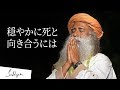穏やかに死と向き合うには？ | サドグル