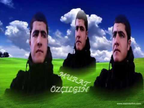 Şah müzik