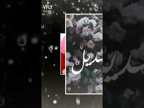 يلي بحب أسم سديل يحط لايك ويشترك في قناتي