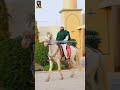 Syed Fasih Ul Hassan Shah | 2026 | Ali Arslan Studio Official