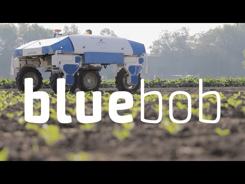 Robot de désherbage BlueBob - Une technologie ambitieuse