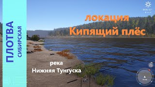 Русская рыбалка 4 - река Нижняя Тунгуска - Плотва на мотыля