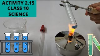 ACTIVITY 2.15 ll CLASS 10 ll SCIENCE ll CHAPTER 2 ll CBSE/NCERT ll ANKITA MAM screenshot 3