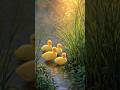 🙂The Golden Morning of Little Ducklings🥰 #cartoon #trending #funny #viral #youbeshots  #batakh