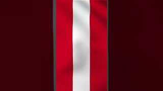 Guess the national flag of the country #flag #flagsofcountries #country #peru #perú #peruelections