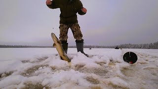 Первый ТРОФЕЙЧИК сезона. Чёрные ЩУКИ на чёрном ОЗЕРЕ.