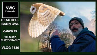 Beautiful Barn Owl  Canon R7  Wildlife Photography Vlog #136