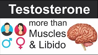 Testosterone more that muscles and libido