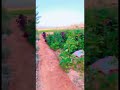 مكشات طريف عرعر سكاكا طلعه