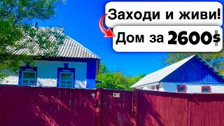 🇺🇦 Заходи и живи! Дом в селе за 2600$ Продажа недвижимости за копейки. Всё есть! Уютное тихое село