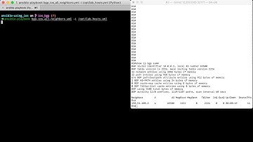 ansible-ios_bgp multiple neighbors