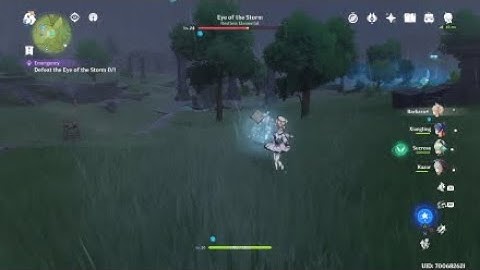 Genshin Impact - Invisible Elite Enemy Bug