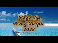 Вода Ян в год Тигра 2022