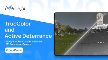 Real-World Demo丨Smart Hybrid Light & 24/7 TrueColor Imaging in Action!