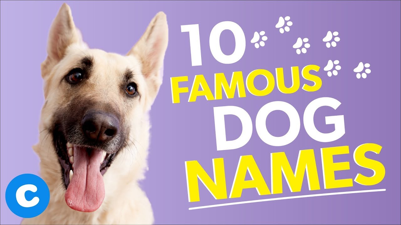 famous dog names