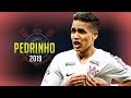 Pedrinho  the new neymar  corinthians wonderkid  2019