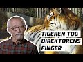 Tigeren tog direktørens fingre | Afsnit 3:8