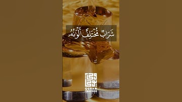 واوحي ربك الي النحل |سورة النحل|. 2021