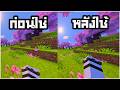 สอนทำให้แขนใหญ่เหมือนมายคราฟ Java ด้วยแอดออน Java HVB - Minecraft