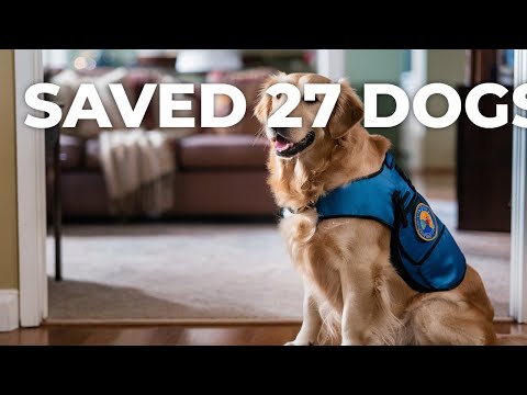 Jamie the Rescue