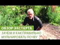 Зачем и как правильно мульчировать почву. Виды мульчи