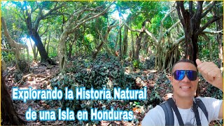 LUGARES interesantes del CARIBE DE HONDURAS  UTILA 2024