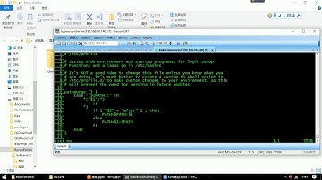 24 尚硅谷 Subversion 命令行冲突之设置SVN EDITOR环境变量