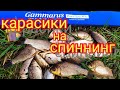 Мормышинг.Ловля карася на спиннинг, весной.Гаммарус .01-0.6гр.