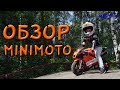 Детский мотоцикл МиниМото MOTAX 50 сс в стиле Ducati - Обзор и тест драйв